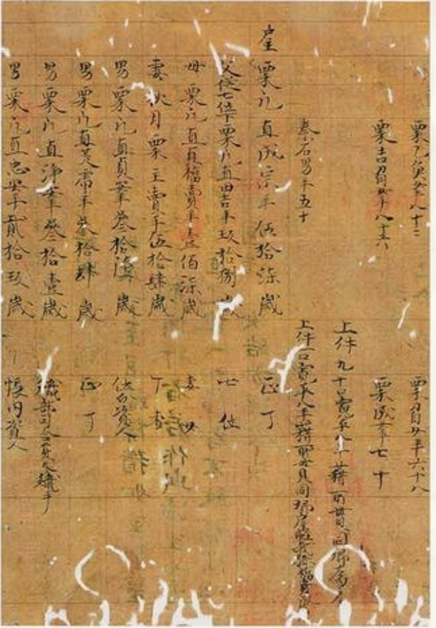 作者不詳 紙本墨書阿波国板野郡田上郷延喜二年戸籍残巻